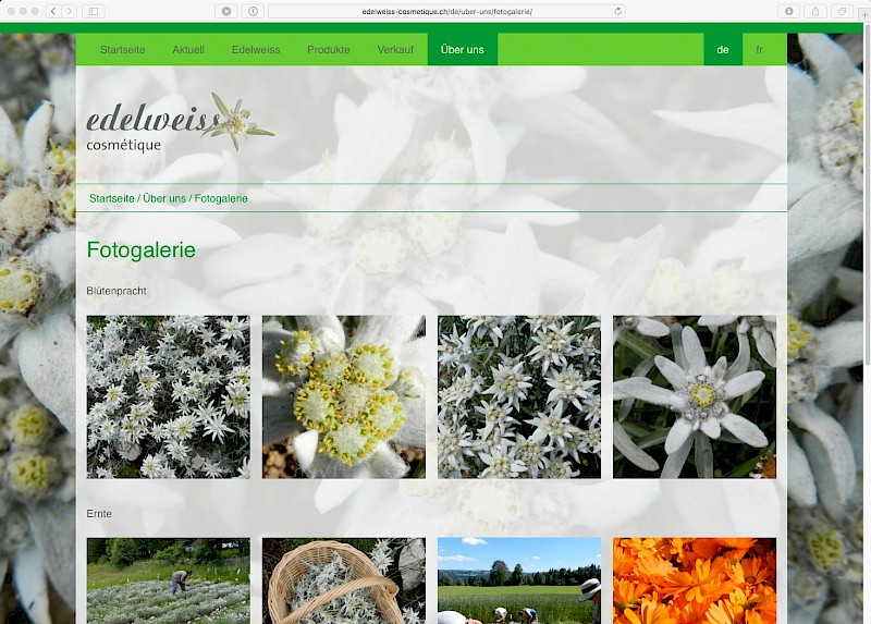 edelweiss cosm&eacute;tique Galerie